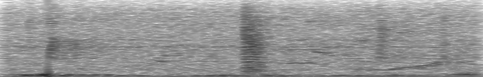 [Loading Spectrogram]